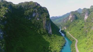 Secrets in the Jungle