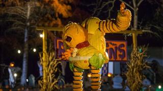 Outrageous Pumpkins