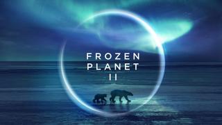 Planet Earth: Frozen Planet II