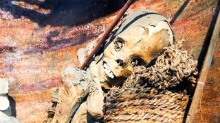 Secrets in the Jungle