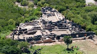 Secrets in the Jungle