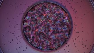 The Theory of Awesome ----- Sound Waves The Theory of Awesome ----- Sound Waves