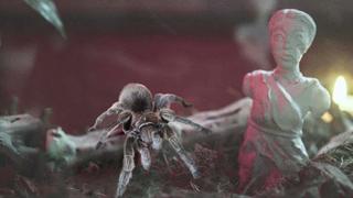 Eight-Legged Exorcism