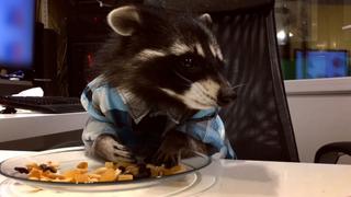 Big and Small Big and Small