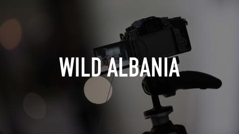 Wild Albania