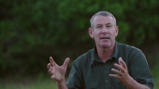 Giraffes: Giants Never Sleep Giraffes: Giants Never Sleep