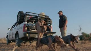 Rhinos: A Healthy Landscape Rhinos: A Healthy Landscape