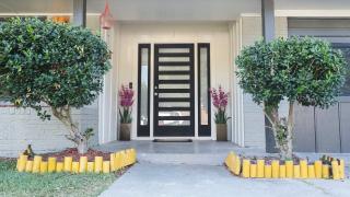 Burning Eyes, Busted Budgets Burning Eyes, Busted Budgets