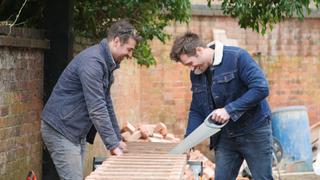 Saving the Donkey Saving the Donkey