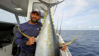 Heartbreak Tuna: Capetown Heartbreak Tuna: Capetown