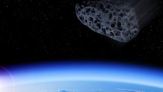 Year of the Asteroid