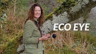  watch Eco Eye