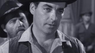 Law of the Gun Law of the Gun