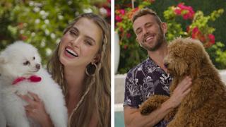 Anne Winters; Nick Viall