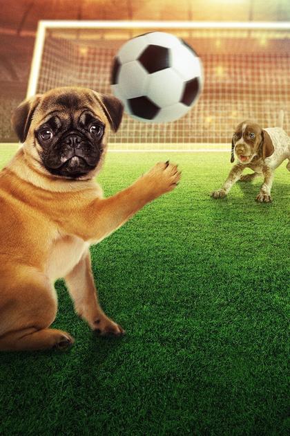 Puppy Bowl Presents: The World Pup