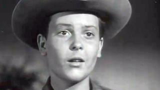 The Texan