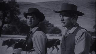 The Stampede The Stampede