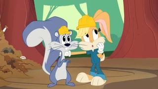 Squirreled Away