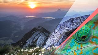 A Conversation About Conservation