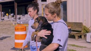 Pit Bulls and Parolees
