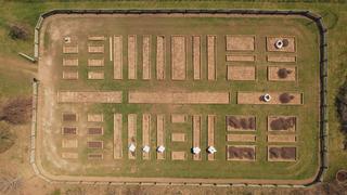 Martha Builds a Raised Bed Vegetable Garden Martha Builds a Raised Bed Vegetable Garden