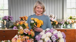 Everything's Coming Up Roses Everything's Coming Up Roses