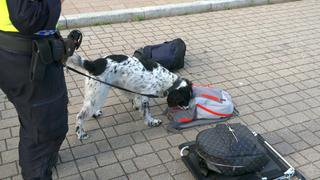 Paddy Finds Drugs