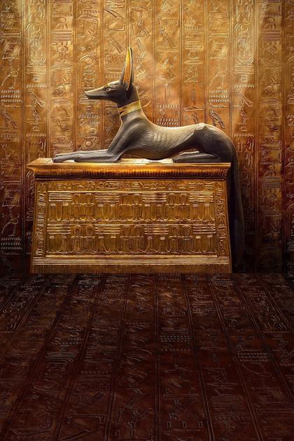 King Tut: A Century of Secrets