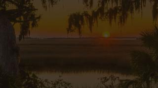 Elite Fishing Series Television