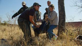 My Friend the Wildlife Vet My Friend the Wildlife Vet