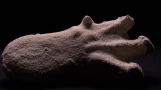 Demonic Activity, Gigantic Footprint, Bird of War Demonic Activity, Gigantic Footprint, Bird of War
