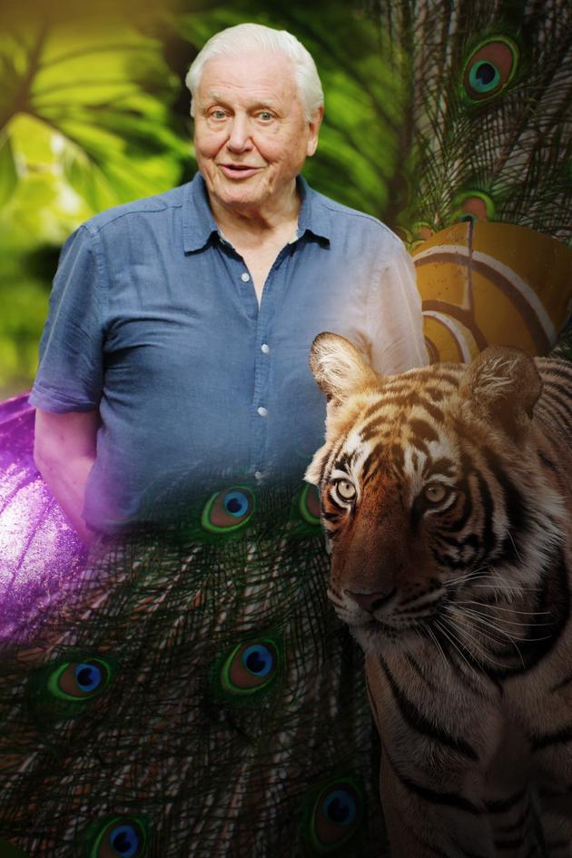 Life in Color With David Attenborough