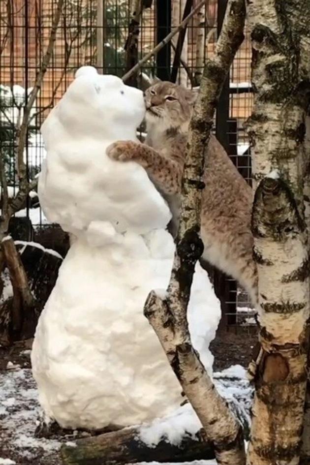 The Pet Collective Presents: Top 100 of 2022