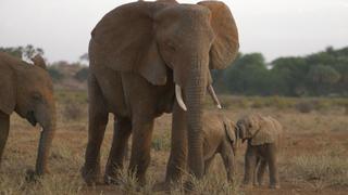 Praying for Rain Praying for Rain