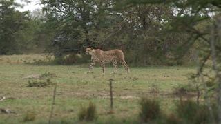 The Inside Story The Inside Story