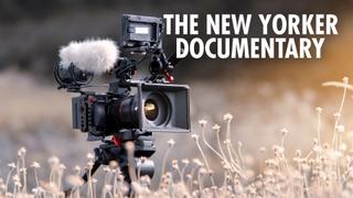 The New Yorker Documentary