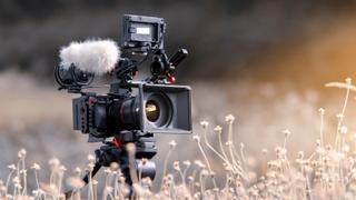 The New Yorker Documentary