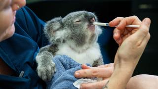 Spiky and Stinky Spiky and Stinky