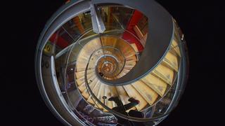 The Royal Year The Royal Year