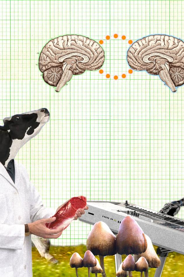 Past, Present, Future