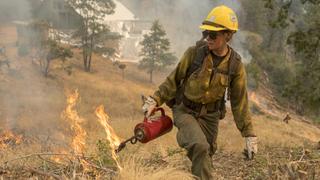 Why Our Forests Are Burning Up