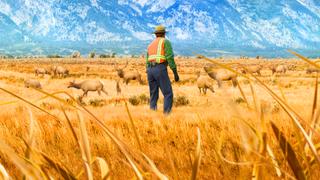 Episode 41 Episode 41