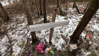 The Tree That Helped Solve a Murder The Tree That Helped Solve a Murder