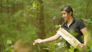 Wetlands; Foundation Painting