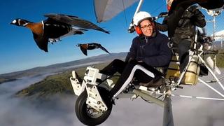 In Your Dreams In Your Dreams