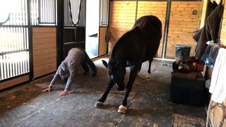 Trick and Treat Trick and Treat