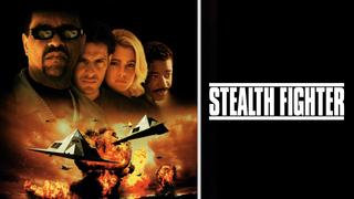 Stealth Fighter