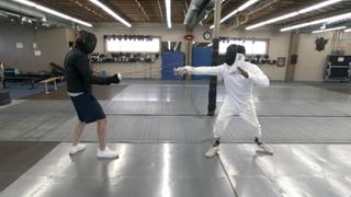 Fencing