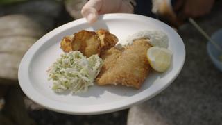 Turkey Tenders & Salmon With Lemon & Dill Turkey Tenders & Salmon With Lemon & Dill