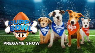 Puppy Bowl Pregame Show